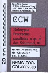 Etikett zu Girardelater werneri (Schimmel, 1999)